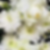 WhatsApp_Image_2024-01-29_at_12.00.46-removebg-preview.png